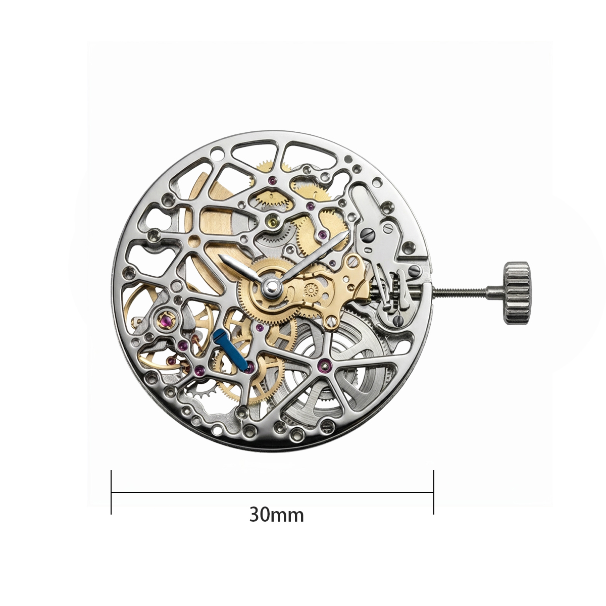 Nuevo movimiento mecánico 5500 - Watch Winder Compact reseña y precio