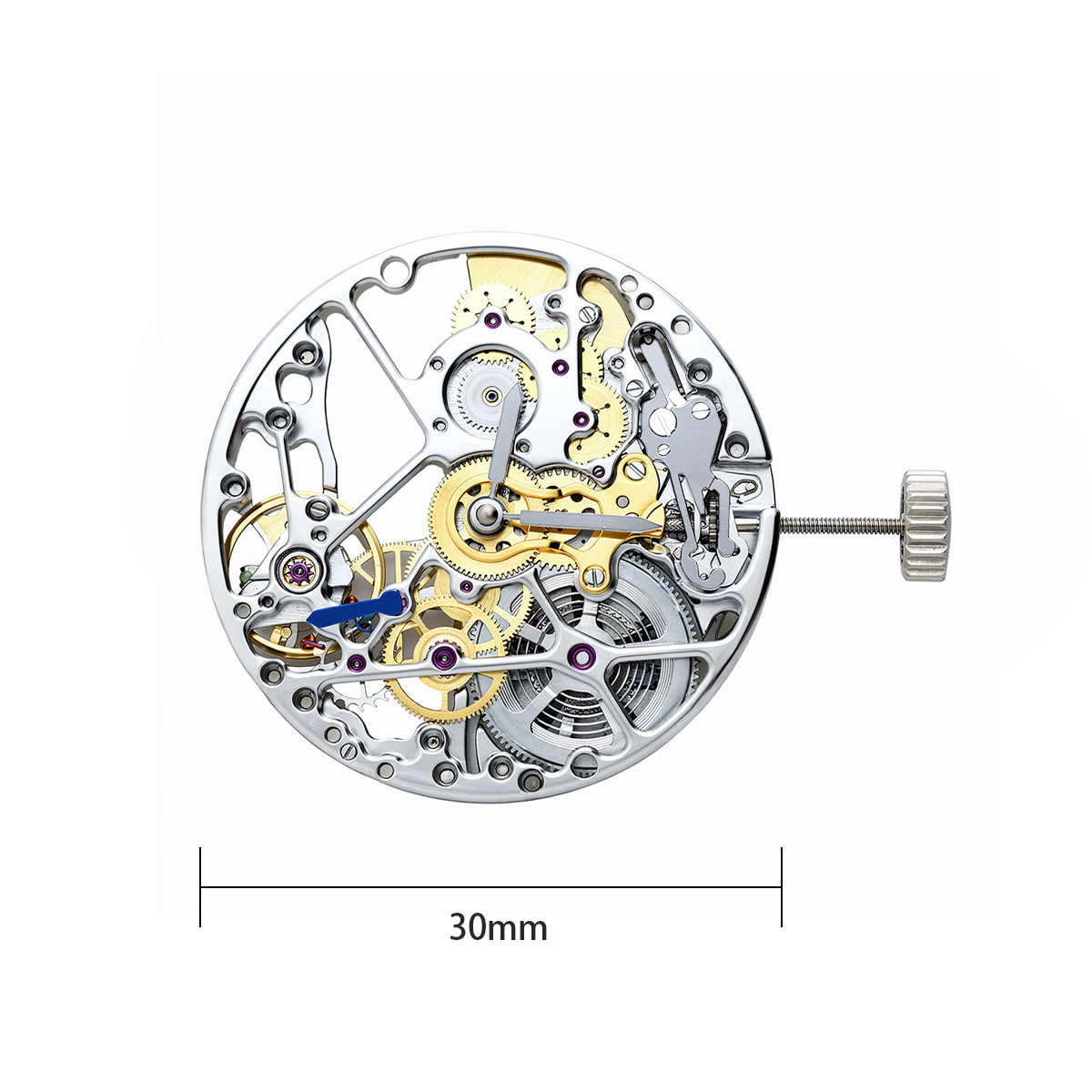 Nuevo movimiento mecánico 5500 - Watch Winder Compact reseña y precio