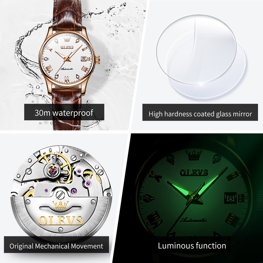 OLEVS-Reloj de pulsera para mu - Watch Winder Compact reseña y precio