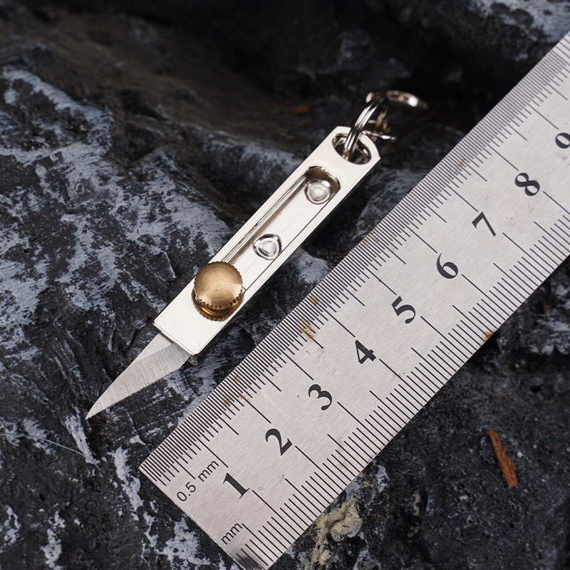 Mini Navaja de Acero Inoxidabl - Edc Carry Pocket Knife reseña y precio